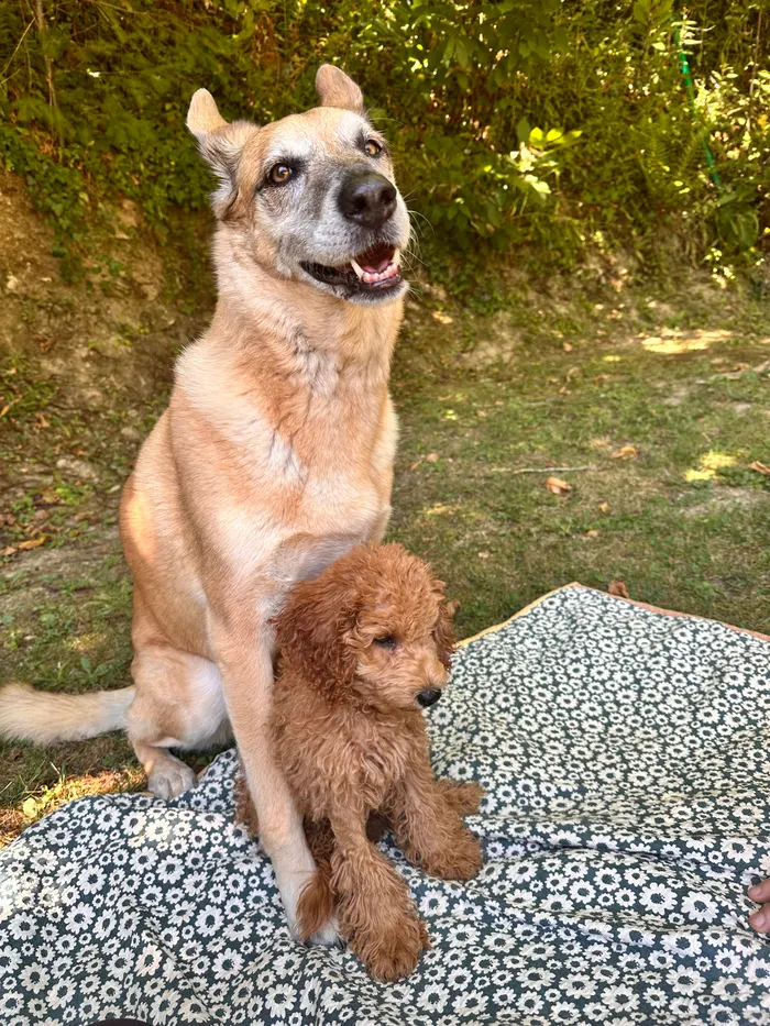 Beyla and Joey